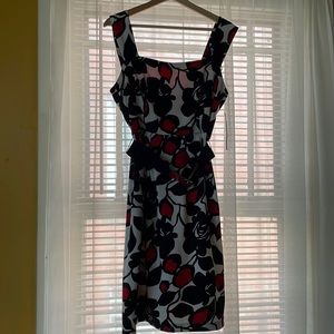 Dress  size 12